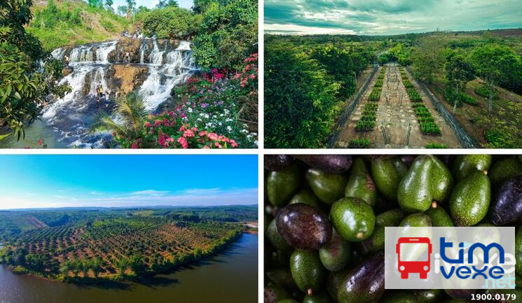 Đặt vé xe Sài Gòn đi Đắk R’Lấp – Đắk Nông giá vé, lịch trình