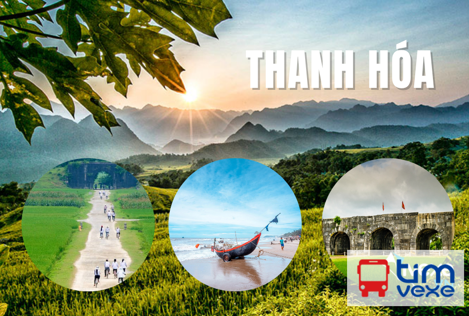 Đặt vé xe Bình Dương đi Thanh Hóa chất lượng, giá cạnh tranh