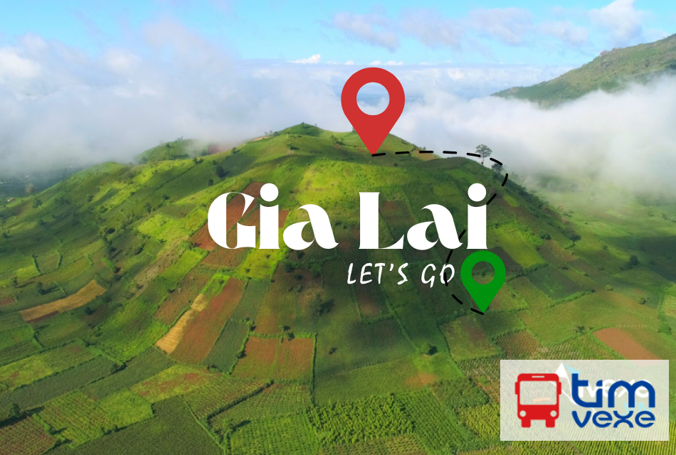 Đặt vé xe Đà Nẵng – Gia Lai: Lịch trình chi tiết, giá vé, đánh giá dịch vụ