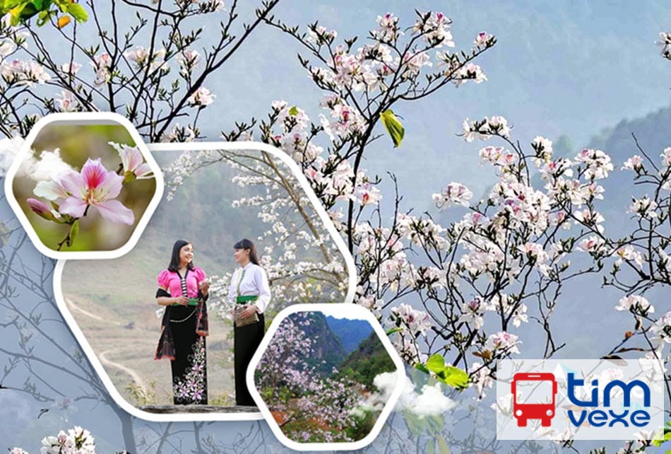 Đặt vé xe Hà Nội đi Điện Biên Phủ – Điện Biên với giá vé rẻ