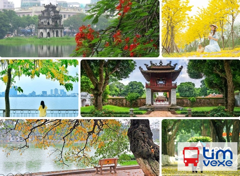 Đặt vé xe Huế – Thừa Thiên Huế đi Hà Nội| Top 10 nhà xe giá rẻ