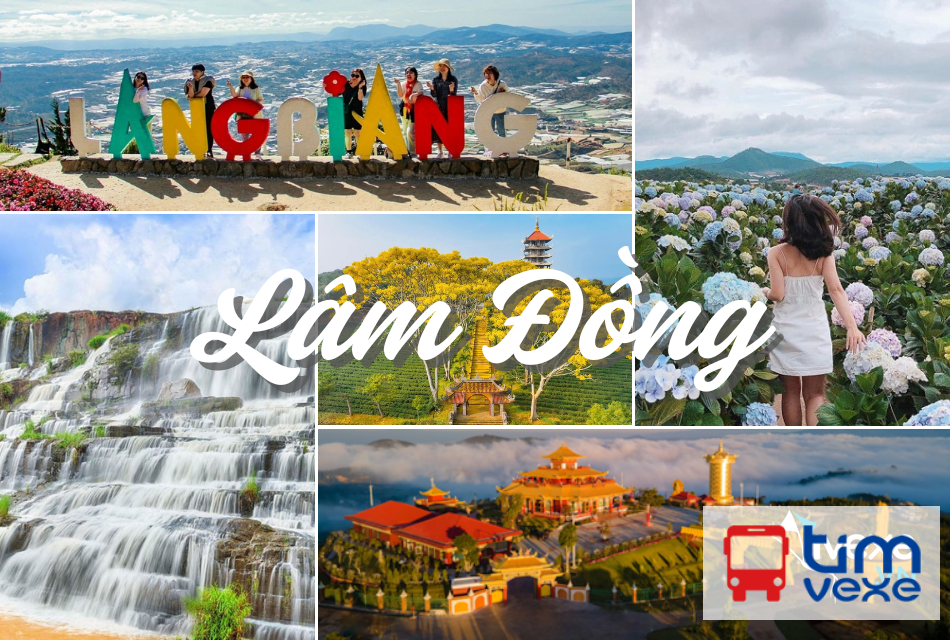 Đặt vé xe Hà Nội đi Lâm Đồng giá rẻ, nhiều lựa chọn