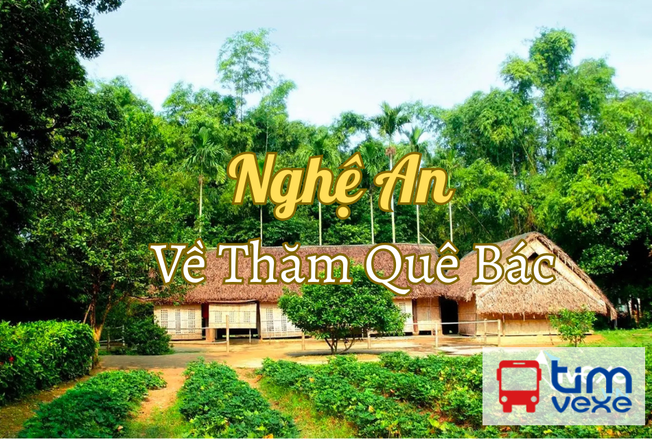 Đặt vé xe Limousine Hà Nội đi Vinh – Nghệ An giá rẻ, nhiều lựa chọn ưu đãi