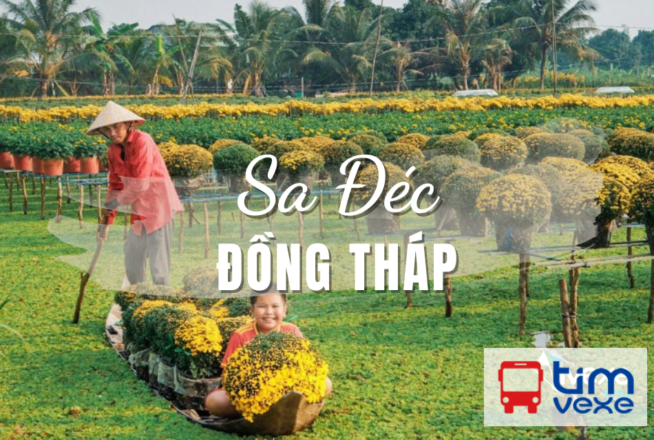 Đặt vé xe khách Sài Gòn đi Sa Đéc – Đồng Tháp lịch trình, giá vé