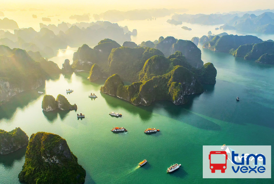 Đặt vé xe Limousine Hà Nội đi Quảng Ninh giá tốt nhất