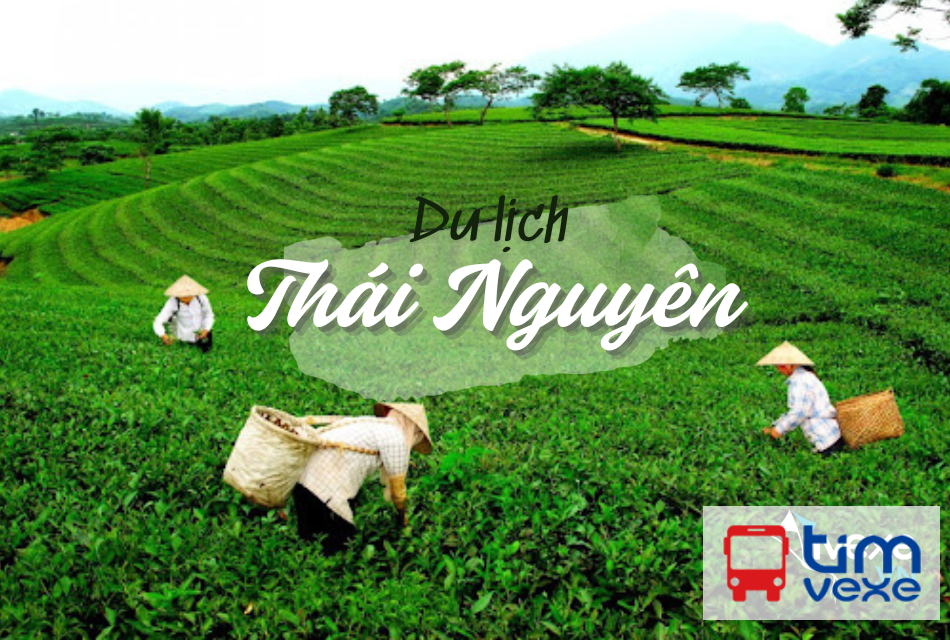 Đặt vé xe Limousine Hà Nội đi Thái Nguyên giá ưu đãi, xe tiện nghi