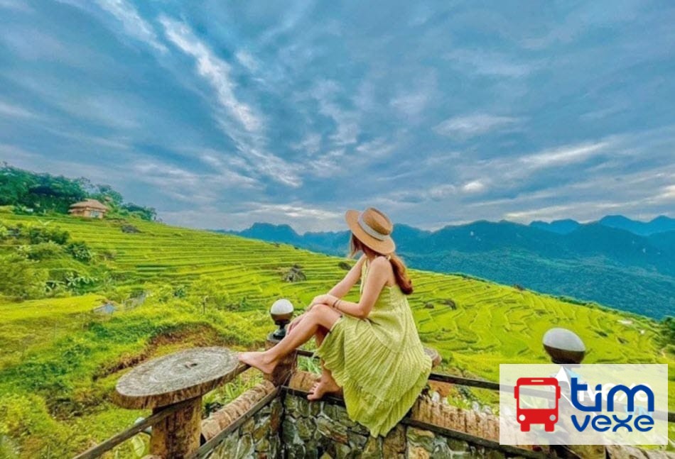 Đặt vé xe Limousine Hà Nội đi Thanh Hóa giá rẻ, chất lượng cao