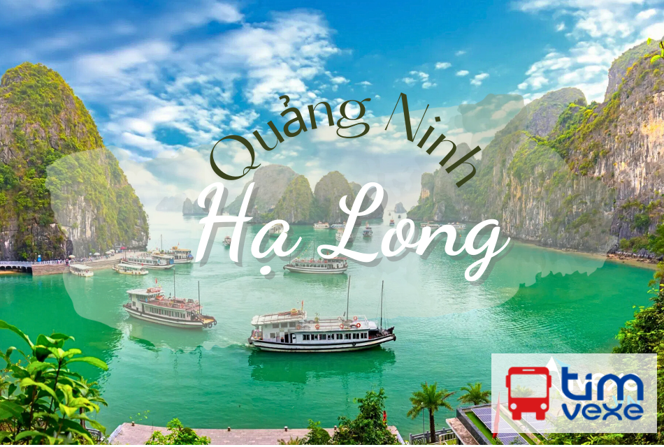 Đặt vé xe Limousine tuyến Hà Nội đi Hạ Long – Quảng Ninh nhanh chóng