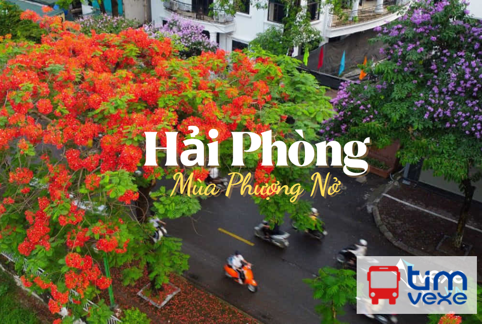 Đặt vé xe Limousine tuyến Hà Nội đi Hải Phòng giá tốt nhất