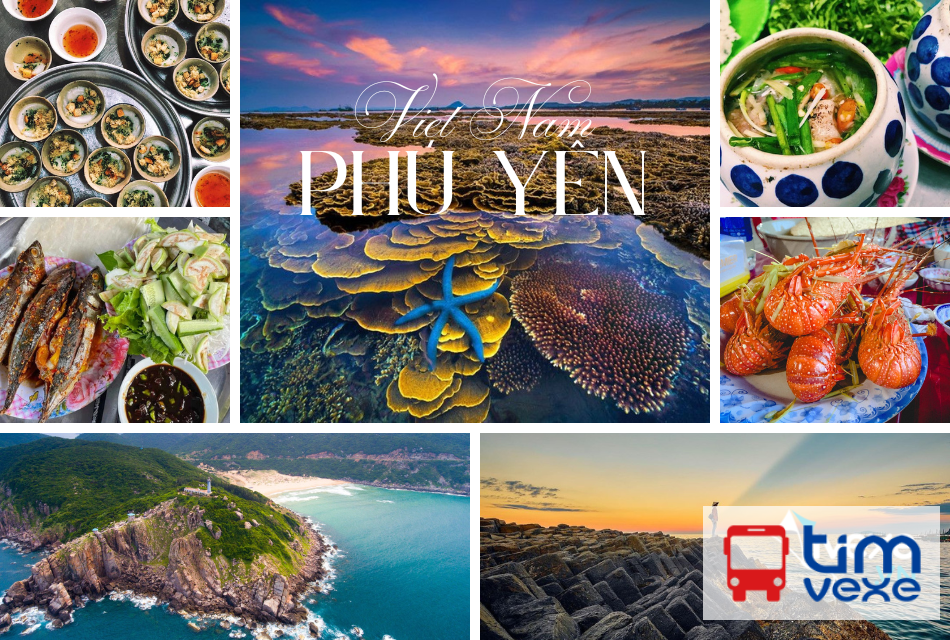 Đặt vé xe Sài Gòn đi Phú Yên | Cập nhật lịch trình, giờ chạy mới nhất