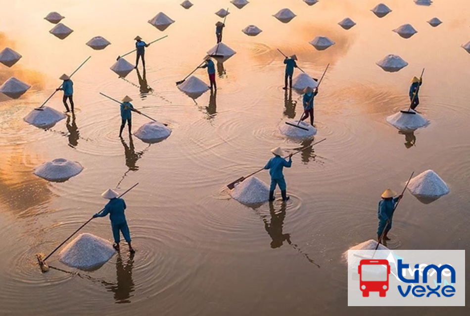 Đặt vé xe Sài Gòn đi Quảng Ngãi |Thông tin lịch trình và giá vé mới nhất