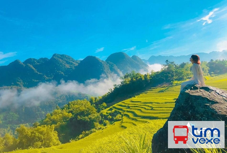 Vé xe khách Sài Gòn đi Thanh Hóa uy tín, giá hợp lý