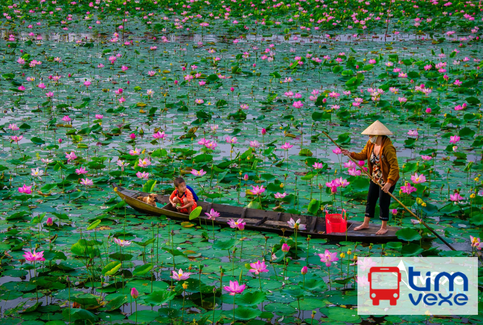 Đặt vé xe Tây Ninh đi Đồng Tháp nhanh chóng và tiết kiệm
