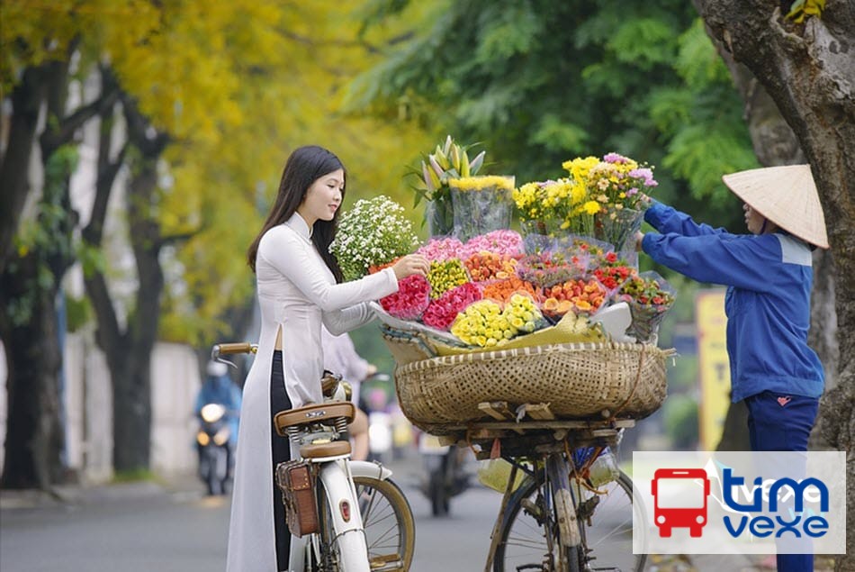 Đặt vé xe Thái Bình đi Hà Nội dễ dàng, lịch trình linh hoạt