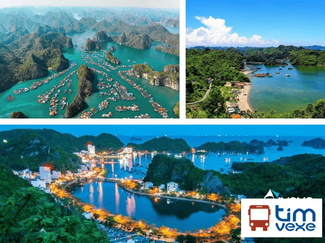 Đặt vé xe Thanh Hóa đi Hải Phòng| Top 3 nhà xe chất lượng