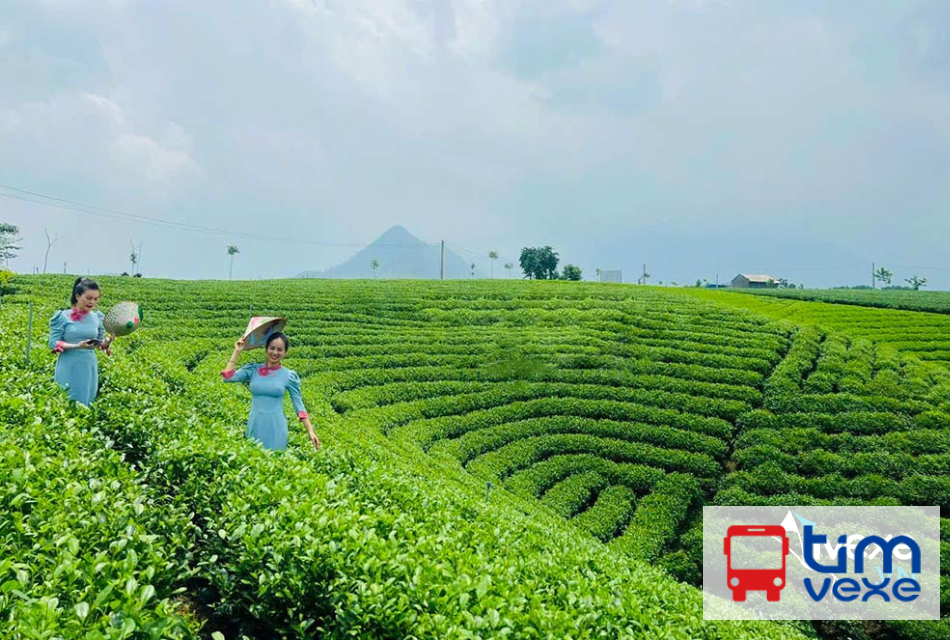Đặt vé xe từ Nam Định đi Thái Nguyên chất lượng, nhanh chóng