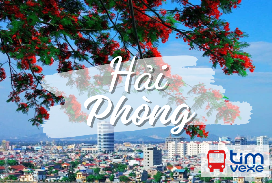 Đặt vé xe khách từ Quy Nhơn – Bình Định đến Hải Phòng giá tốt