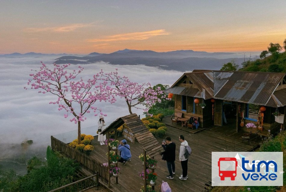 Đặt vé xe khách từ Sài Gòn đi Đà Lạt tiện lợi và an toàn