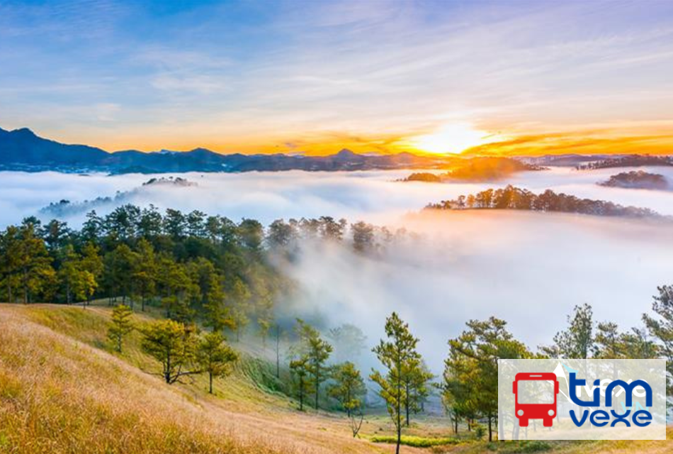 Đặt vé xe tuyến Bạc Liêu đi Đà Lạt Lâm Đồng mới nhất