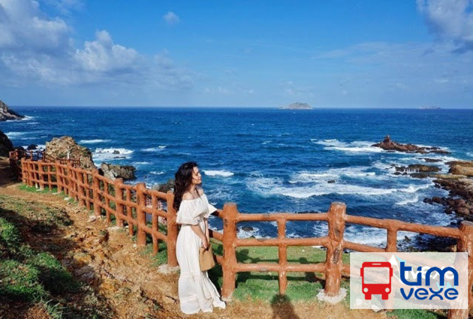 Đặt vé xe tuyến Bình Dương đi Quy Nhơn Bình Định mới nhất