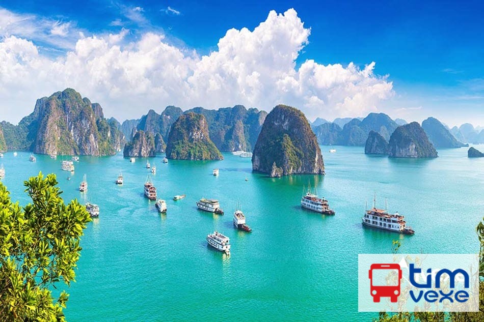 Đặt vé xe khách Đà Nẵng đi Quảng Ninh uy tín, dịch vụ nhanh