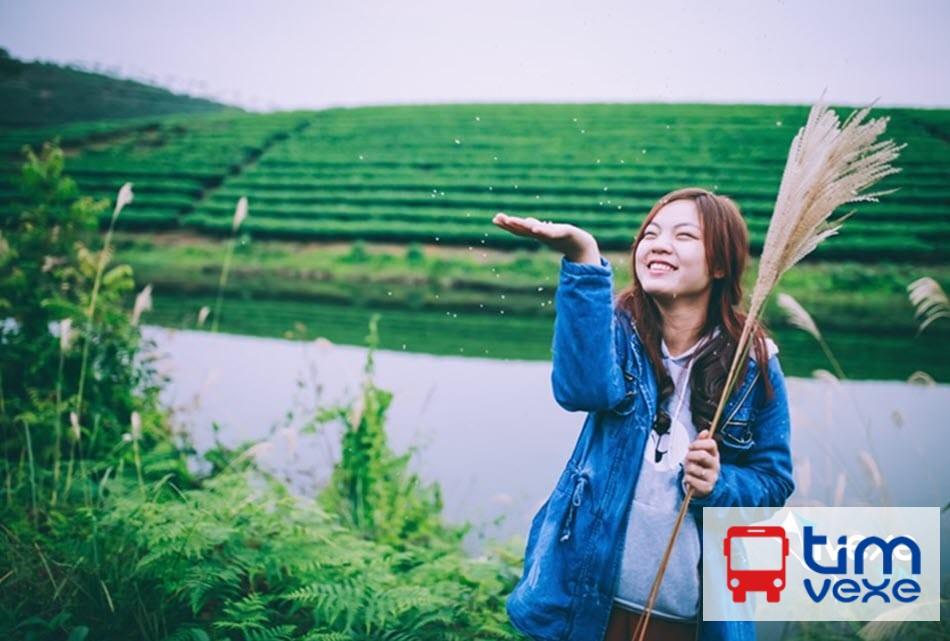 Đặt vé xe Đà Nẵng đi Vinh ưu đãi về giá, nhiều lựa chọn xe