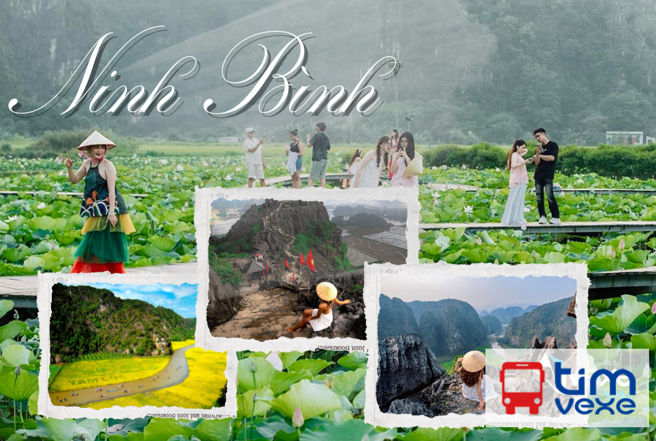 Đặt vé xe Sapa Lào Cai đến Ninh Bình chọn xe êm, giá tốt