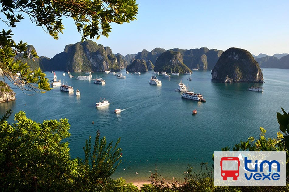 Đặt vé xe khách từ Hà Nội đi Hạ Long tiện lợi, uy tín nhất