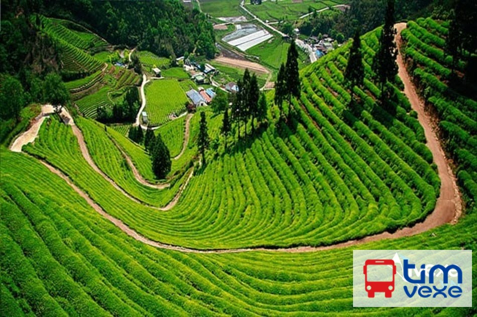 Đặt vé xe khách từ Hà Nội đi Thái Nguyên nhanh chóng, tiện lợi nhất