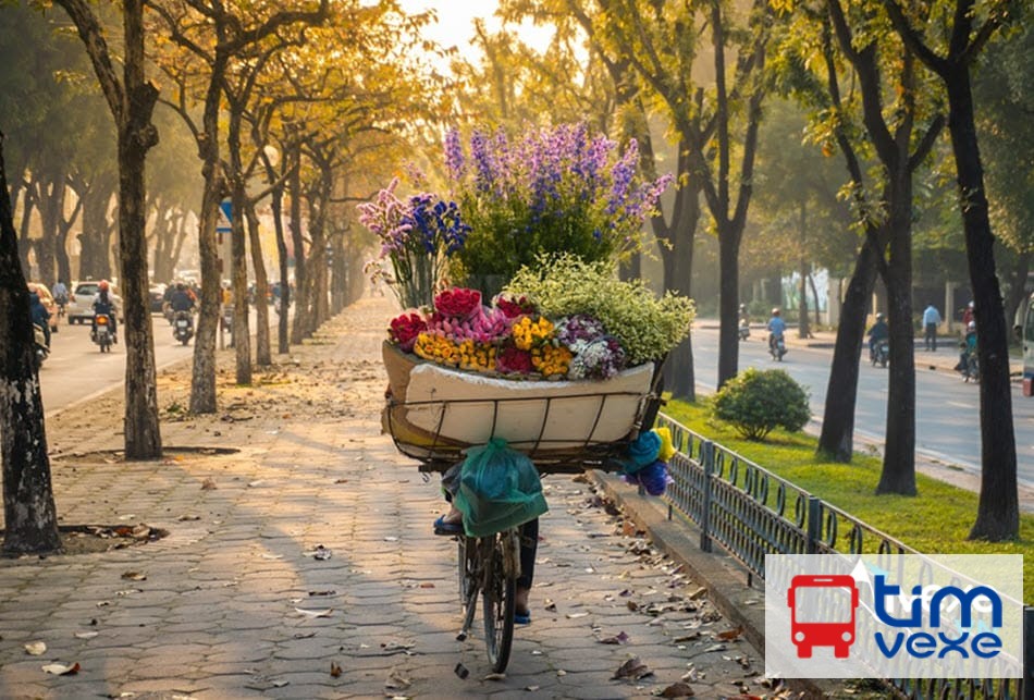 Đặt vé xe Cần Thơ đi Hà Nội giá vé và lịch trình