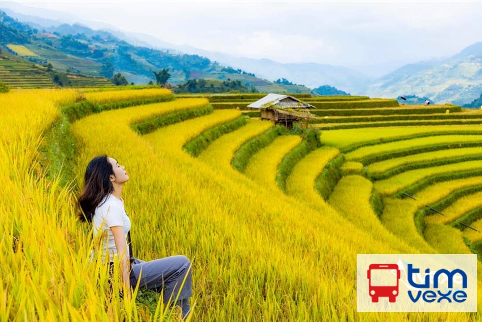 Đặt vé xe khách từ Hà Nội đi Yên Bái tiện lợi, an toàn nhất