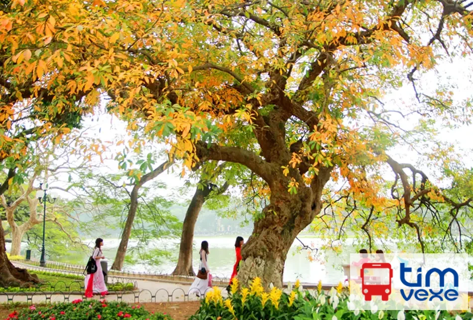 Đặt vé xe Đắk Nông đi Hà Nội – Danh sách nhà xe chất lượng