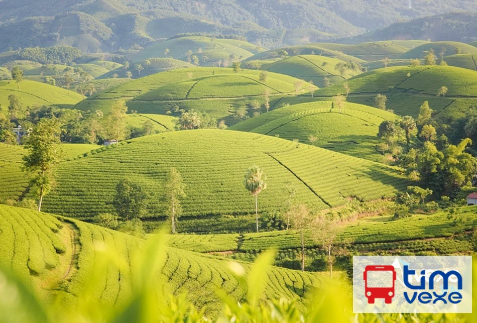  Đặt vé xe Hà Nội đi Đoan Hùng – Phú Thọ giá vé, lịch trình