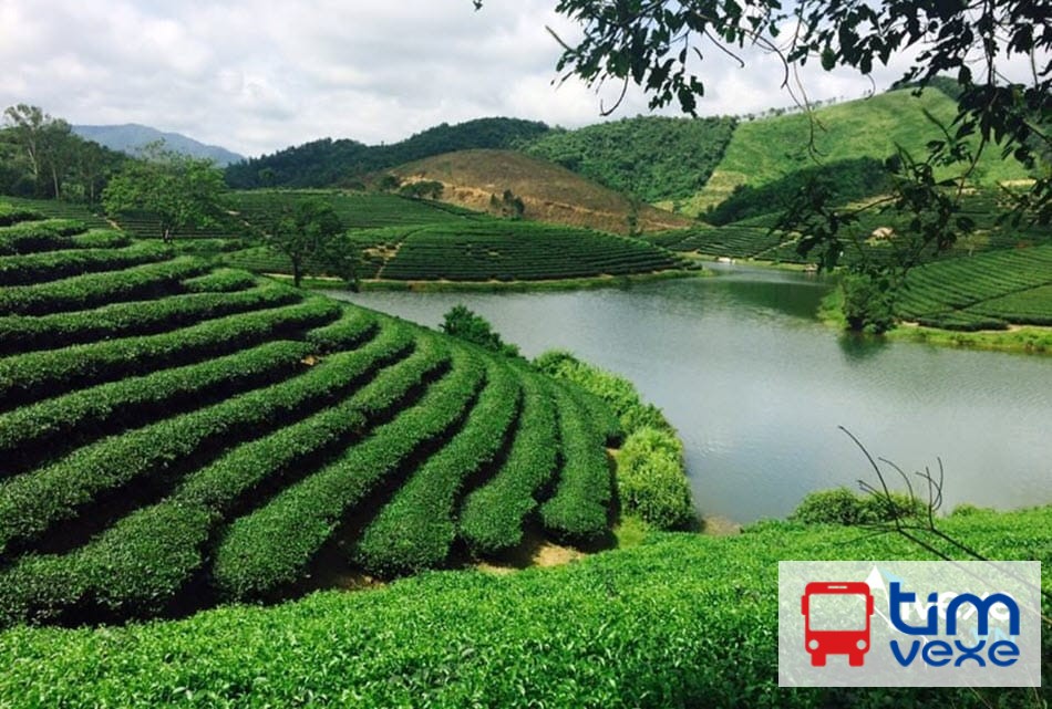 Đặt vé xe khách từ Hà Nội đi Nghệ An giá rẻ, chất lượng cao