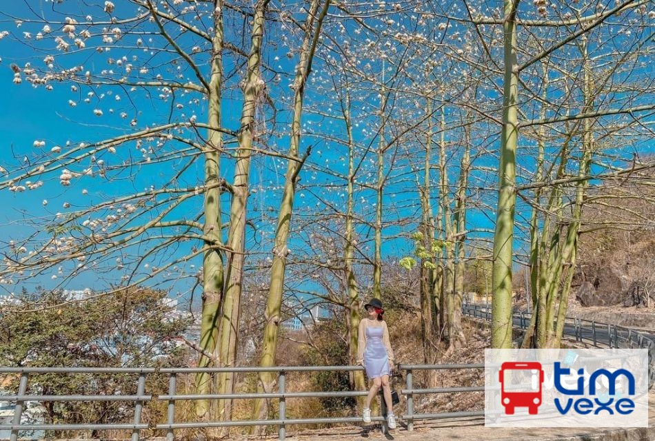 Vé xe khách Phan Thiết đi Vũng Tàu uy tín và giá rẻ