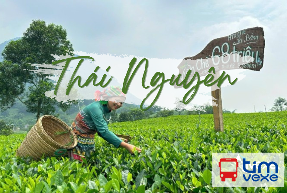 Đặt vé xe từ Mường La Sơn La đi Thái Nguyên Nhanh Chóng