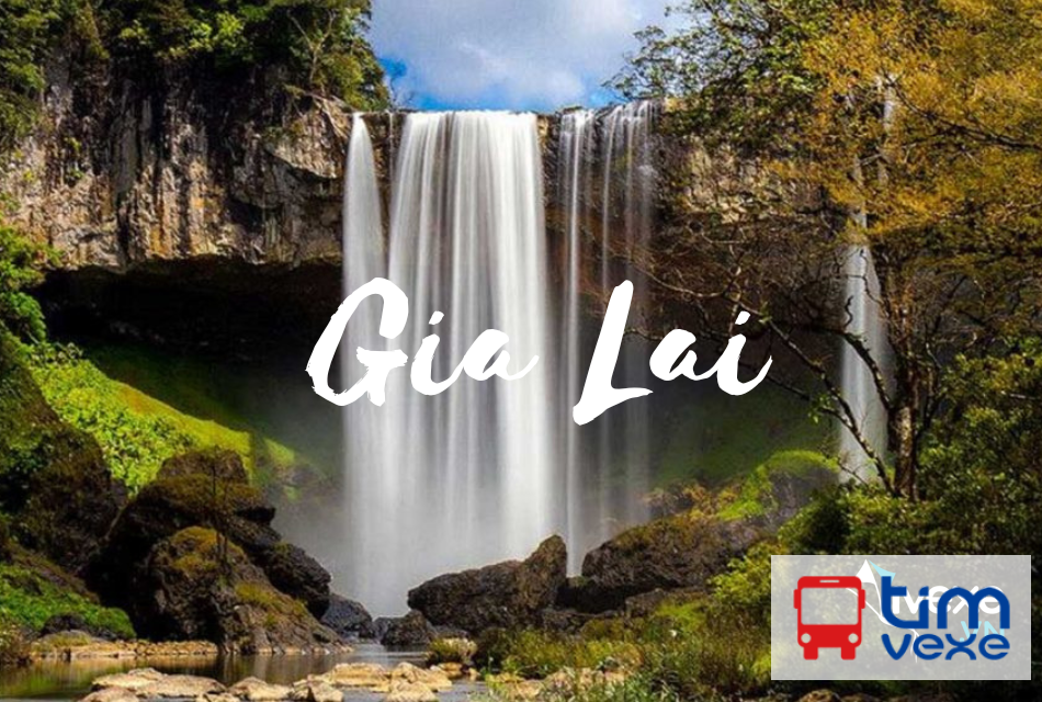 Đặt vé xe Bình Phước đi Gia Lai giá vé, lịch trình