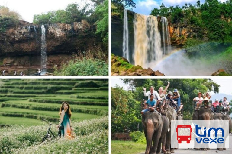 Đặt vé xe Chư Sê – Gia Lai đi Đà Lạt – Lâm Đồng tiện lợi nhất