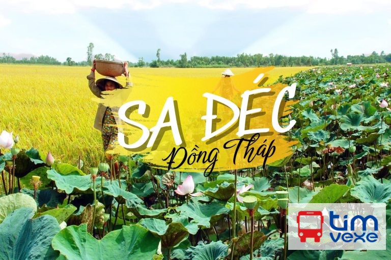 Đặt vé xe Đồng Nai đi Sa Đéc – Đồng Tháp Giá Rẻ, Chất Lượng