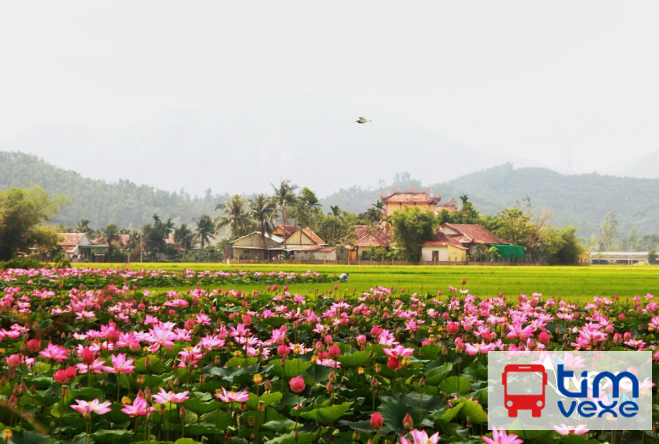 Đặt vé xe từ tuyến Sài Gòn đi Tháp Mười – Đồng Tháp chất lượng