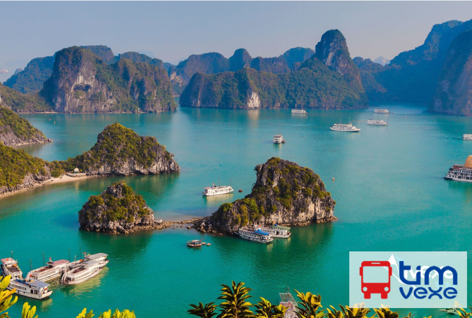 Đặt vé xe Thanh Sơn Phú Thọ đi Quảng Ninh giá tốt